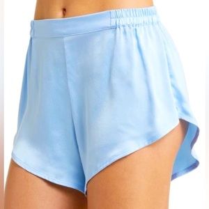 Lunya NWOT washable silk dolphin shorts in Equanimity Sky, 2XL